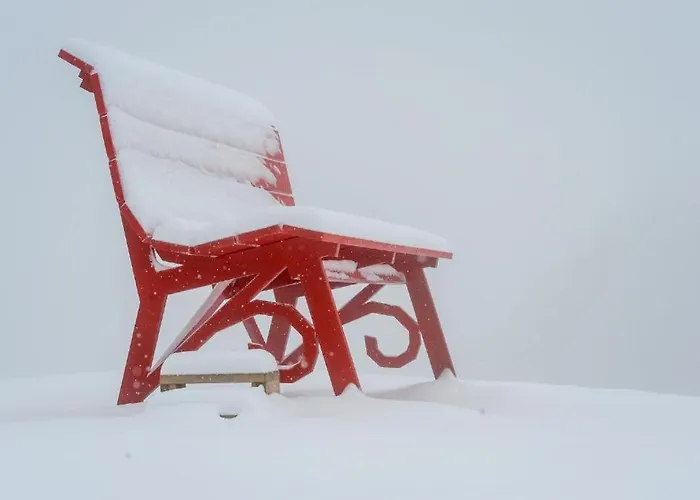 Le Di Bart Su Montana Holiday home Prato Nevoso